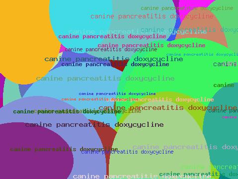 CANINE PANCREATITIS DOXYCYCLINE